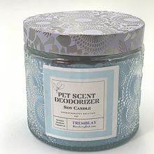 Load image into Gallery viewer, Deodorizing Products